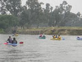 murray river canoe hire image 4