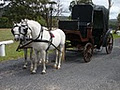 A and K Wedding Carriages image 2