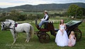 A and K Wedding Carriages image 1