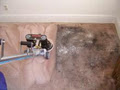 ASAP Carpet Cleaning image 2