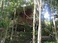 Adjinbilly Rainforest Retreat Cabins image 1