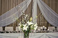 Affections Wedding and Event Hire image 5