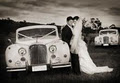 Albany Wedding Cars image 3