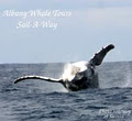 Albany Whale Tours image 6