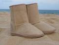 BLUE MOUNTAINS UGG BOOTS image 3