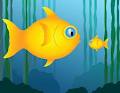 Big Fish Little Fish Swim School logo