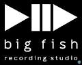 Big Fish Recording Studio logo
