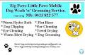 Big Paws Little Paws Mobile Dog Wash N Groom logo