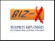 Biz-X Business Explorers image 5