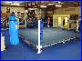 Blue Cattle Dog Boxing Gym Australia image 2