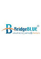 Bridge Blue Pty Ltd logo