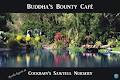 Buddha's Bounty Cafe image 2