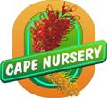 Cape Nursery image 2