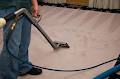 Carpet Cleaning by Rex image 5
