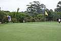 Castlecove Golf Club logo
