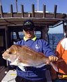Central Coast Reef & Game Fishing Charters image 3