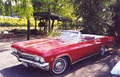 Chevy Convertibles /Wine and Beer Tours image 1
