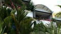 Club Tropical Resort image 6