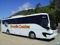 Coach Charter Bus Hire Minibus Tours Cairns logo