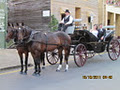 D & S Cross Horse Drawn Vehicles image 4