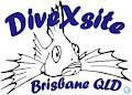 DiveXsite logo