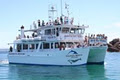 Dolphin Watch Cruises - Jervis Bay P/L logo