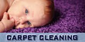 Elite Pest Management and Carpet Cleaning image 2