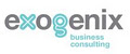 Exogenix Business Consulting logo