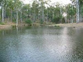 Fernhill Park - Camping & Fishing image 2