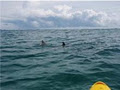 Go Sea Kayak Byron Bay image 2