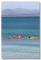 Go Sea Kayak Byron Bay image 6