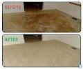 Gold Label Carpet Cleaning image 5