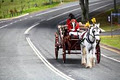 Heritage Carriages image 3