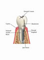 Holistic Dental image 2