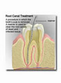 Holistic Dental image 1