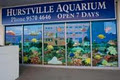 Hurstville Aquarium image 2