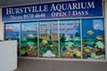 Hurstville Aquarium image 3