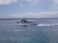 Jervis Bay Fishing & Sightseeing Charters image 2