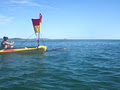 Kayak Noosa image 5