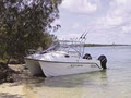 Kevlacat Power Boats Australia logo