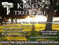 Kings Tree Care logo