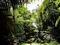 Kuranda Rainforest Accommodation Park image 5