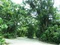 Kuranda Rainforest Accommodation Park image 6