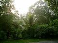 Kuranda Rainforest Accommodation Park image 1