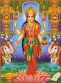 Lakshmi + Lotus image 4