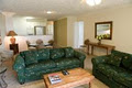 Little Cove Affordable Luxury Apartments & Family Holiday Accommodation image 6