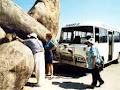 Magnetic Island Bus Service image 2