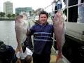 Melbourne Fishing Charters image 4