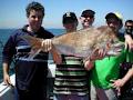 Melbourne Fishing Charters image 6