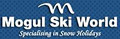 Mogul Ski World image 5